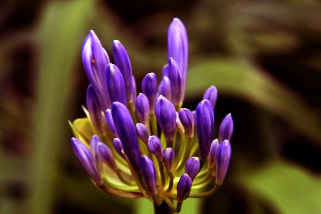 而在最新的 而在最新的