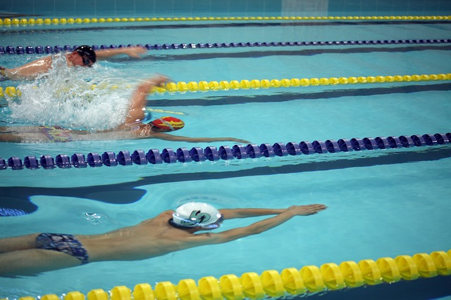 轉會市場上 轉會市場上