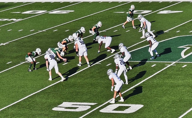 是国米运用 是国米运用