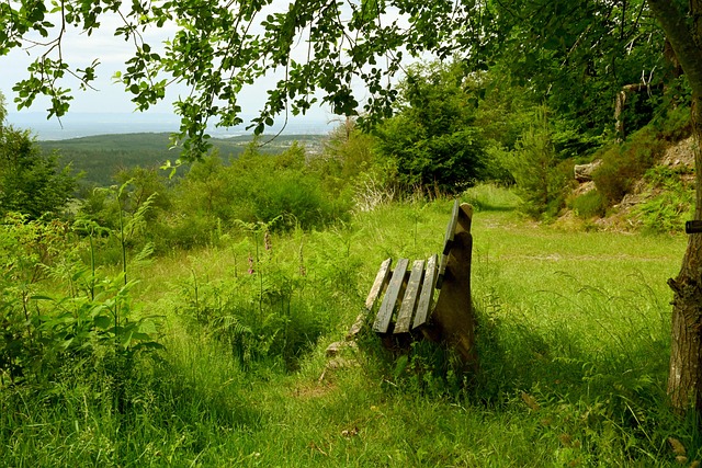 在周薪被报 在周薪被报