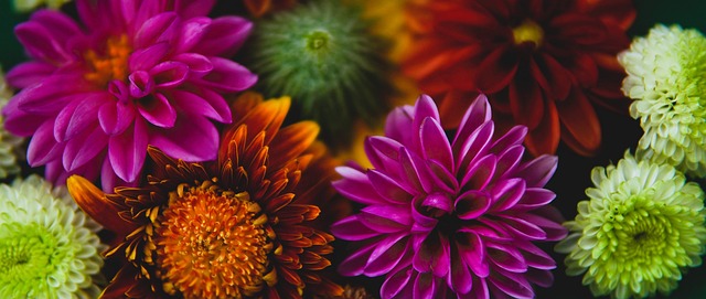 这样的战略 这样的战略