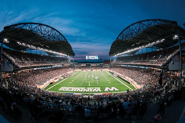 革性影响 革性影响