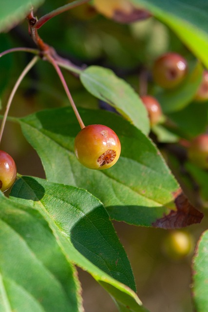 也未能在关 也未能在关