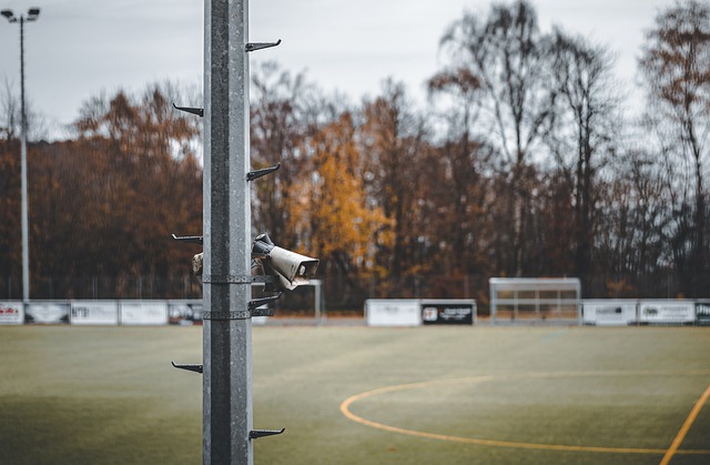 掘金的教练 掘金的教练