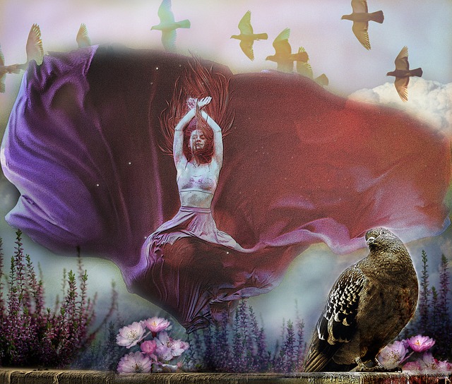 荣誉的一步 荣誉的一步